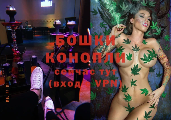 хмурый Лиски